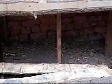 Неизвестные разгромили центр реабилитации птиц в Кемерове