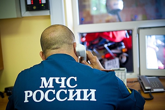 Начальник краевого главка МЧС в 2016 году заработал 1,5 млн руб.