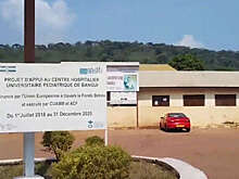 Посол рассказал о поддержке раненого главы Русского дома Сытого в ЦАР