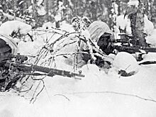 «Великая Финляндия»: на какие земли России претендуют финны