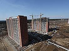 «Любимов» на двоих