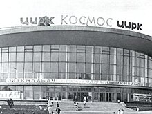 Полвека на манеже. Донецкий цирк - от свернутых шей до счастливых свободных животных