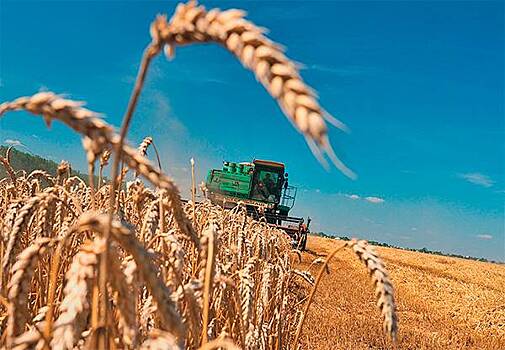 Россия с 1 марта повысит пошлину на вывоз пшеницы