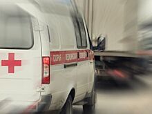 На севере Москвы благоустроят зону отдыха «Левобережный»