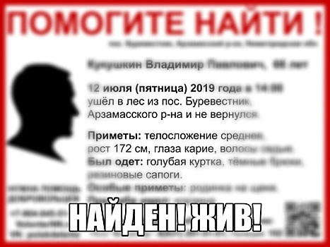 66-летний Владимир Кукушкин найден в Нижегородской области