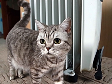 Без тепла и в опасности: в Омске растет число пожаров из-за обогревателей