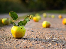 В детском клубе на Подольской открылась выставка плакатов, посвященная экологии