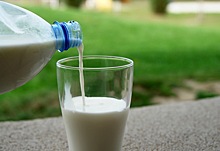 Молочные продукты — хороший диетический источник некоторых видов витамина К