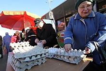 Турция поставила в Россию вторую партию яиц