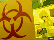 В Монголии выявлены три случая заражения бубонной чумой