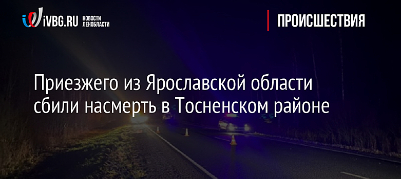 Приезжего из Ярославской области сбили насмерть в Тосненском районе
