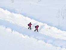 СК проверит, почему в микрорайоне Оренбурга дети ходят на уроки за два километра