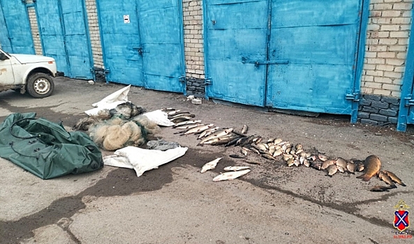 Под Волгоградом задержали подозреваемого в браконьерстве с мешками рыбы