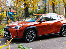 Длительный тест-драйв: Lexus UX 200 #discover