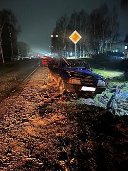 17-летний водитель без прав снёс фонарь в Селтах