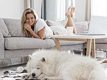 Уютный дом для тебя и питомца: как обустроить пространство без хаоса