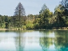 В Казани могут запретить купаться в Голубых озерах