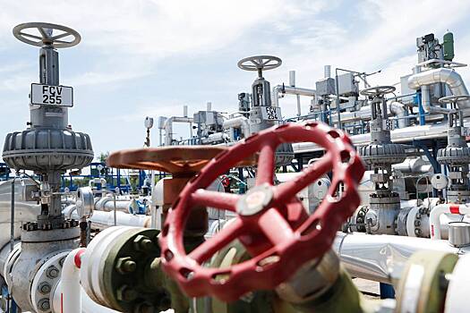 В Венгрии заявили о давлении со стороны ЕС из-за закупок российского газа