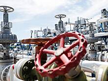 В Венгрии заявили о давлении со стороны ЕС из-за закупок российского газа