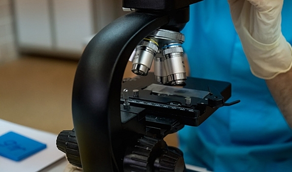 Обнаружены 19 семейств вирусов, провоцирующих развитие астмы у детей