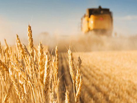 Экспертный совет ФРП одобрил займы на шесть проектов в российских регионах