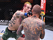О'Мэлли нокаутировал Стерлинга в поединке за чемпионский пояс UFC