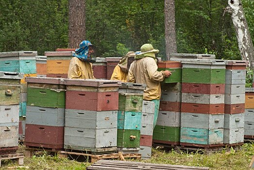 Радий Хабиров рассказал об отправке из башкирского мёда в зону СВО