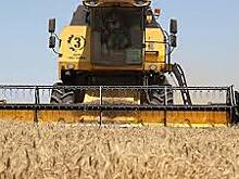 Землю у фермеров предложили отбирать после года простоя