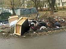 Соцсети назвали лицемерами ростовчан, жалующихся на свалку во дворе
