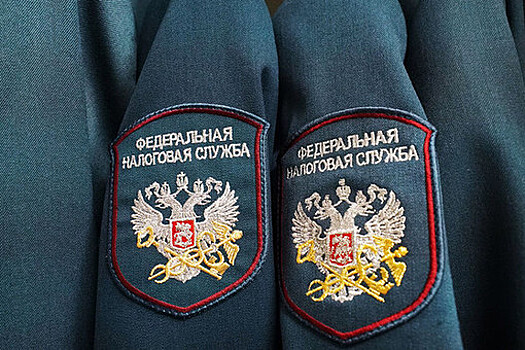ФНС ожидает регистрации 18 млн самозанятых в России к 2029 году