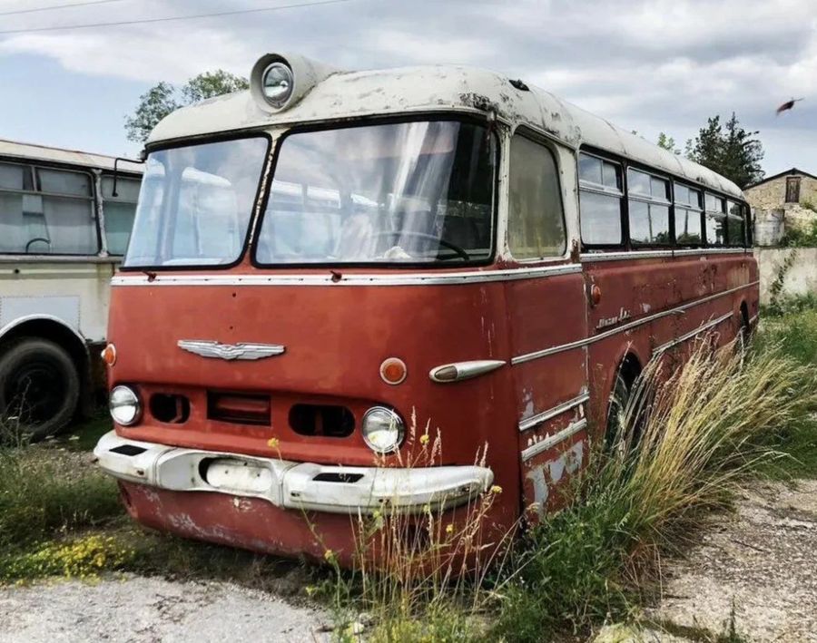     Ikarus 55 Lux 1972   16   -  