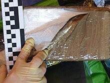 Суд в Берлине решит судьбу фигуранта "кокаинового дела"