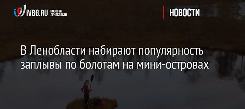 В Ленобласти набирают популярность заплывы по болотам на мини-островах