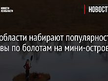 В Ленобласти набирают популярность заплывы по болотам на мини-островах