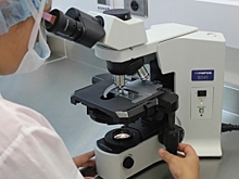 Ученые раскрыли секрет появления красных пятнышек на теле человека