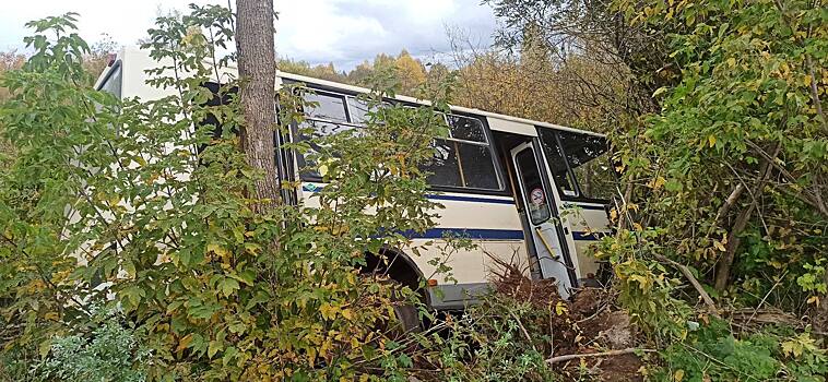 В Глазове из-за конфликта водителя и пассажира рейсовый автобус съехал с дороги