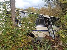 В Глазове из-за конфликта водителя и пассажира рейсовый автобус съехал с дороги