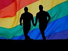 США оплачивали борьбу с законом о пропаганде гомосексуализма в России