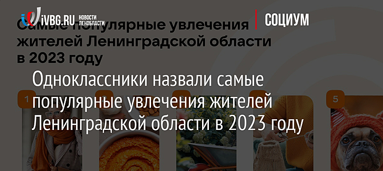 Одноклассники назвали самые популярные увлечения жителей Ленинградской области в 2023 году