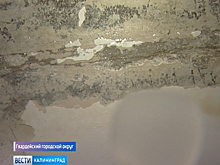 Ситуация с затопленными квартирами в Комсомольске ухудшилась