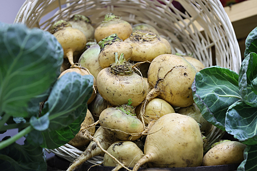Стало известно о корнеплоде, помогающем от простуды