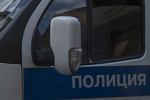 Полиция задержала подозреваемого в убийстве таксиста в Подмосковье