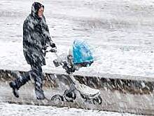 В России появится льгота для отцов в декрете