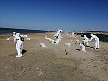 Новые пятна мазута нашли на двух пляжах Анапы 15 апреля