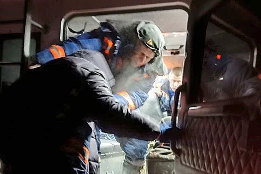 В Новосибирской области спасли пожилую пару из замурованной снегом дачи