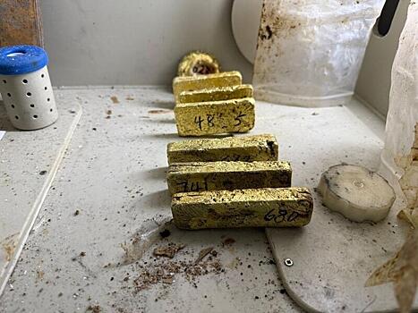 Таможенники пресекли контрабанду золота на 267 млн рублей