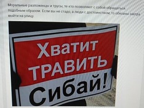 Московский блогер назвал жителей Сибая «моральными разложенцами»
