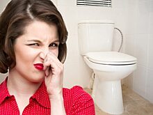 Свежесть в уборной: лайфхак от бортпроводниц