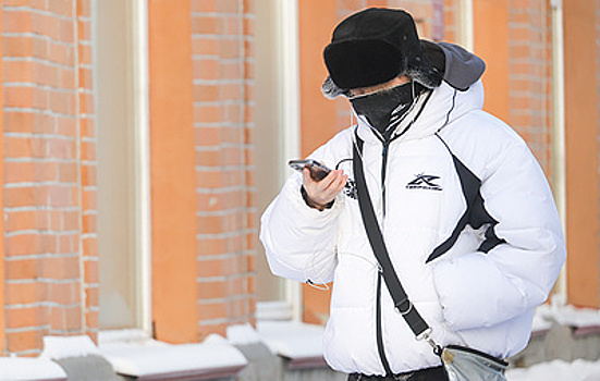 В МВД рассказали, что делать при случайной передаче кода из СМС