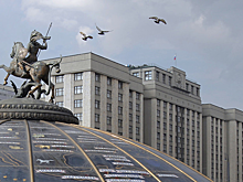 В Госдуме прокомментировали идею ограничить число питомцев в квартирах